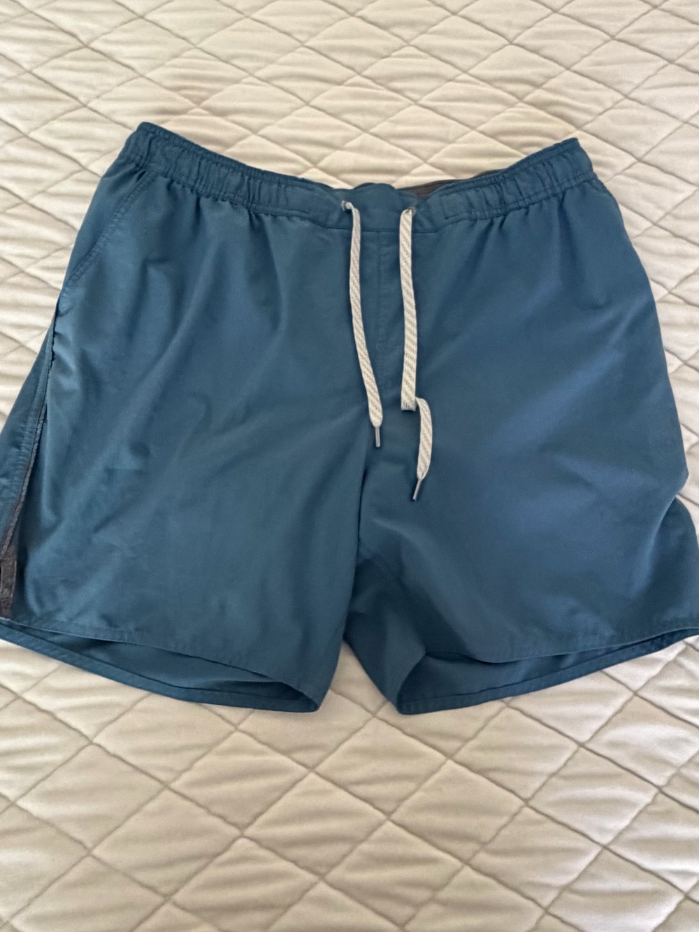 Vuori Men's Teal shorts with White Drawstring